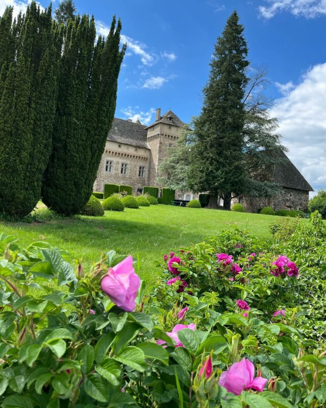 Fraîcheur de juin au Château de La Vigne