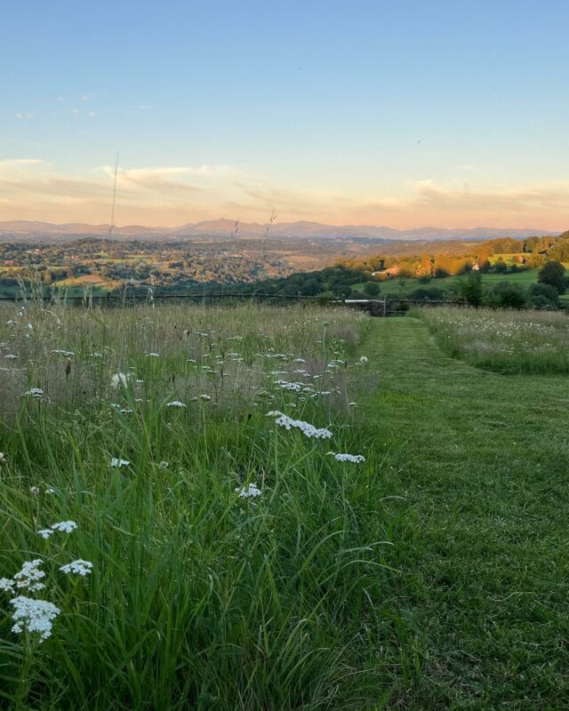 Afin de préserver la biodiversité, on pratique la tonte différenciée depuis plusieurs années au Château de La Vigne face aux Monts du Cantal  #biodiversite #tontedifférenciée #demeurehistorique #monumenthistorique #montsducantal #cantalauvergne #tabledorientation